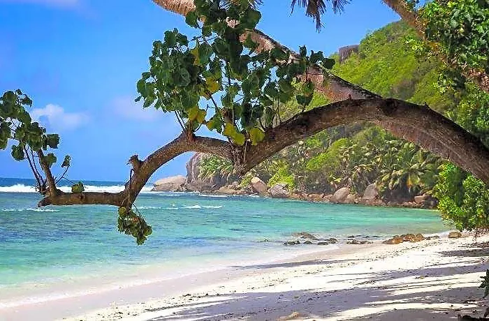 Hotel Surfers Self Catering Anse Forbans Beach