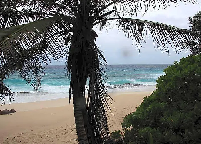 Surfers Self Catering 5*