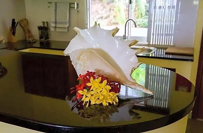 Hotel Surfers Self Catering Anse Forbans Beach